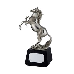 Silver Finish Horse Award - RW16