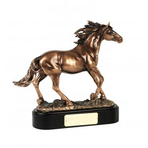 Bronze Plated Stallion Award - RW06