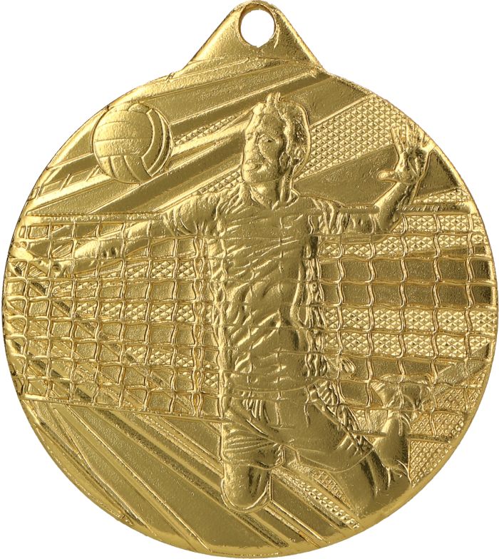 Gold Strike Volleyball Medal Minimum 100 - ME008/G