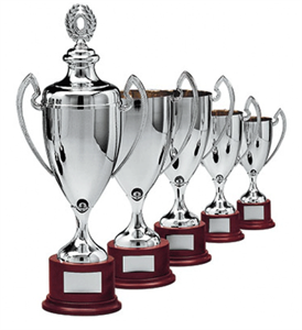 TROPHY CUP SILVER COLOUR ENGRAVED FREE HANDLES MOMENT RANGE CUPS TROPHIES 