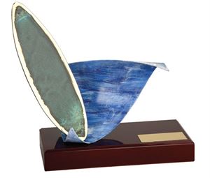 Surfing Trophies & Awards