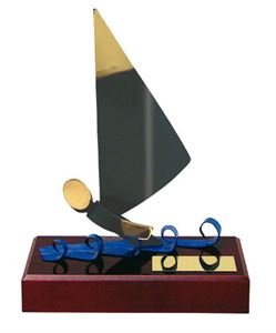 Windsurfing Trophies & Medals