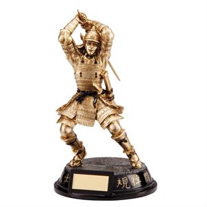 Martial Arts Trophies & Awards