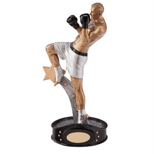 Kickboxing Trophies & Medals