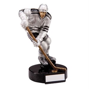 Ice Hockey Trophies & Awards