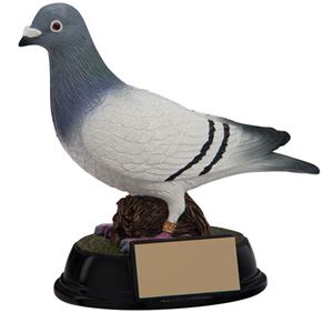 Pigeon Racing Trophies & Medals