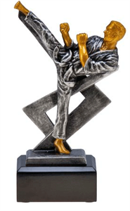 Taekwondo Trophies & Awards