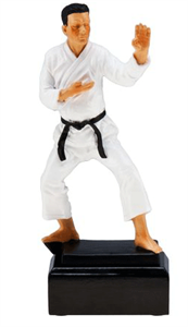 Karate Trophies