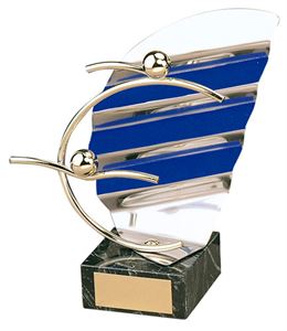 Swimming Trophies