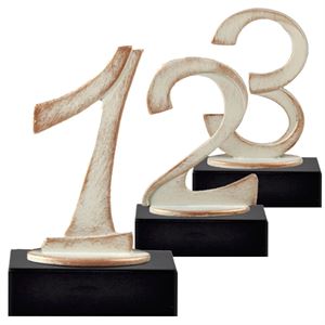 Great Customizable Third Place Recognition Gift Third Place Plaques Custom Engraved 3rd Place Trophy Plaque Award 