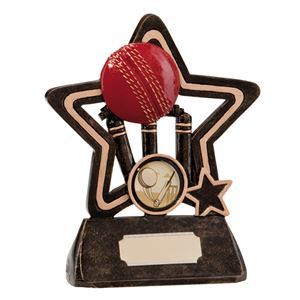 Little Star Cricket Award - RF0265
