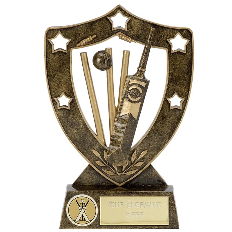 Shield Star Cricket Award - N01037