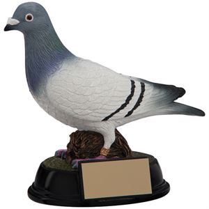 The Elite Pigeon Racing Award - RF4157