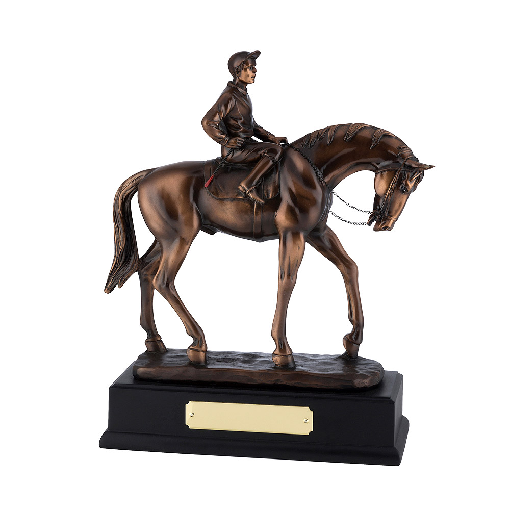 Bronze Plated Horse & Young Jockey Award - RW17