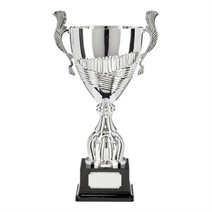 Champion Silver Super Cup - TR17539
