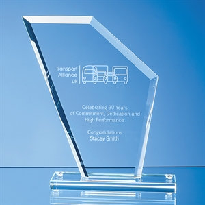 Jade Glass Bevelled Edge Wing Award - TL42