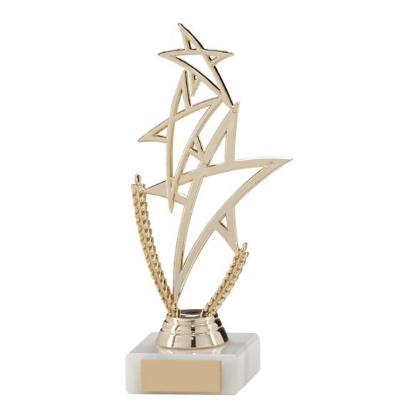 Rising Star Multi-Sport Trophy Gold - TR17545G