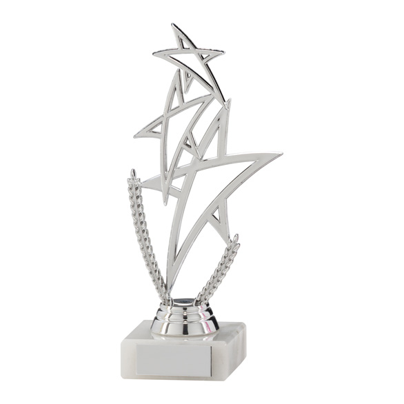 Rising Star Multi-Sport Trophy Silver - TR17545S