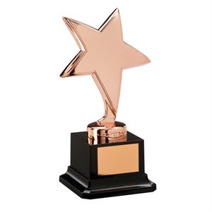The Challenger Star Bronze Award - NP1782