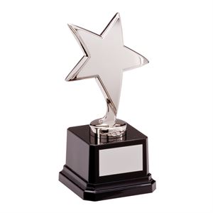 The Challenger Star Silver Award - NP1783