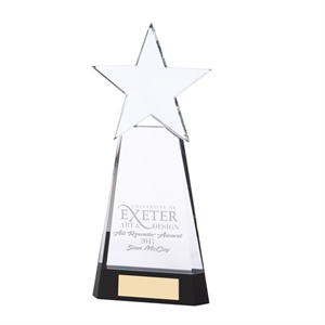 Houston Crystal Award - CR17107