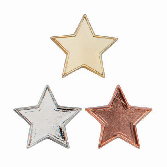 Metallic Star School Pin Badge