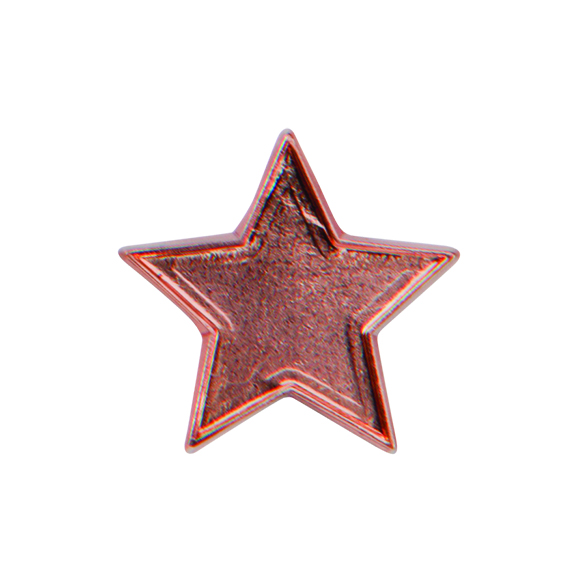 Metallic Bronze Star School Pin Badge - SB16126B