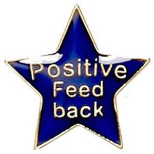 Positive Feedback Metal School Star Badge - SB003B