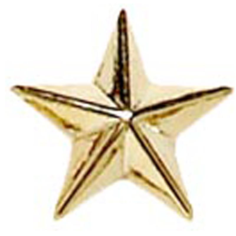 Raised Star Metal School Badge - Gold
