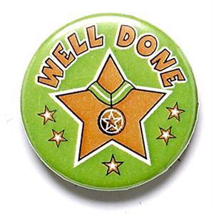 Well Done School Button Badge - BA020