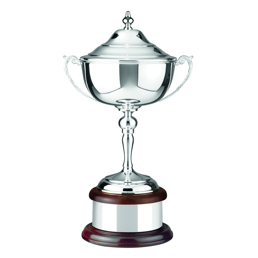 The Winners Silver Plated Cup - L801
