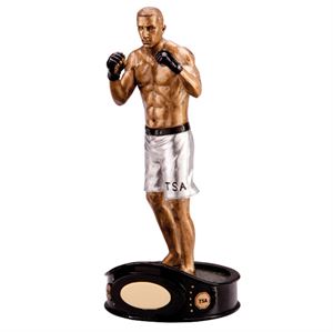 Kick Boxing Trophies