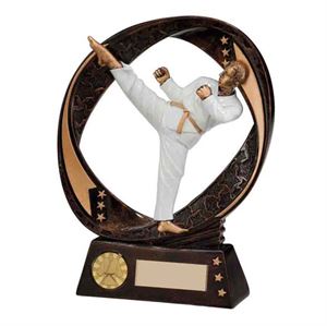 Taekwondo Trophies