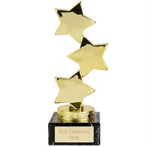 Hope Star Gold Award - 506A