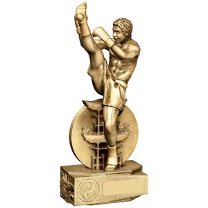 Kickboxing Figure Award - RM982