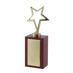 Bright Finish Gold Outline Star Award - TZ051