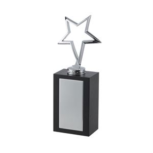 Bright Finish Silver Outline Star Award - TZ050