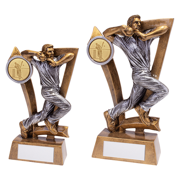 Pinnacle6 Bowling Cricket Award 3 sizes free engraving & p&p 
