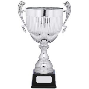 Henley Silver Cup - A1172