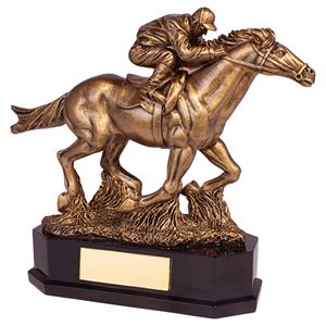 Aintree Deluxe Equestrian Horse Racing Award - RF19139