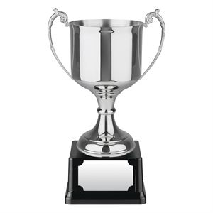 Advocate Award Nickel Plated Cup - SANC924
