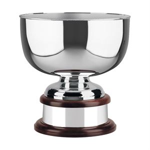Silver Plated World Cup Bowl - 452C