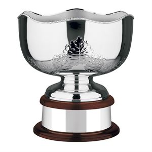 The World Cup Silver Plated Leaf Bowl - 553