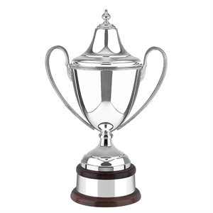 High Quality Silver Plated Traditional Cup Trophy Choice of 6 Sizes 