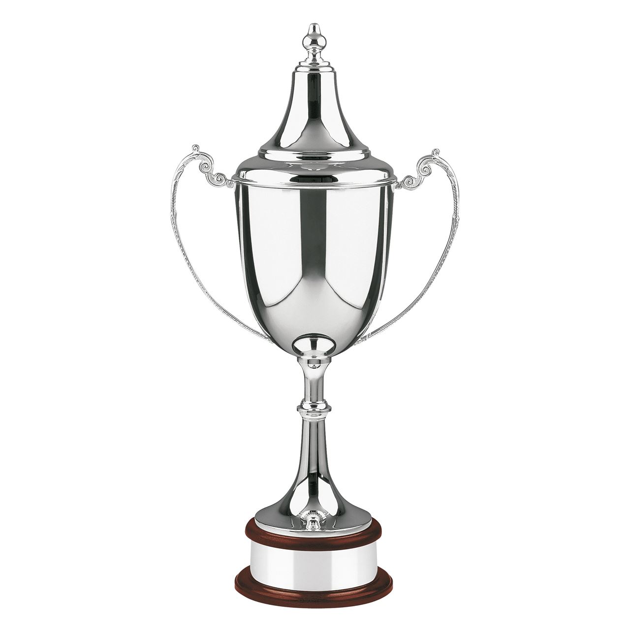 The Champions Silver Plated Ultimate Cup - L486