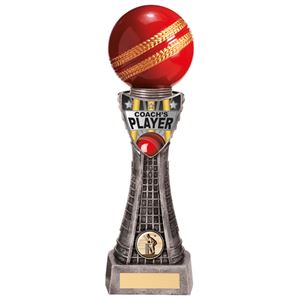 Large CRICKET Ball Wicket Trophy FREE ENGRAVING Personalised Award Ball Stumps 