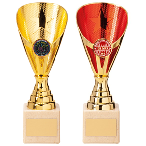 Rising Stars Gold Trophy - Gold or Red - TR20542/TR20543