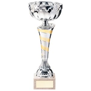 Eternity Silver & Gold Cup - TR20312