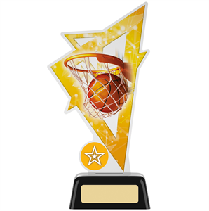 Trinity Acrylic Basketball Trophy - PK159