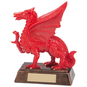 Welsh Trophies & Medals